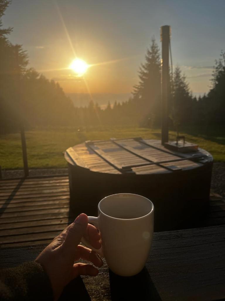 Hanna'S Hidden Haven Harghita-Băi Eksteriør bilde