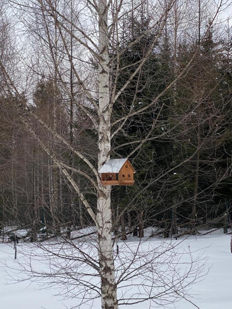 Hanna'S Hidden Haven Harghita-Băi Rom bilde